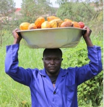 10/09/18  Les Etats-Unis lancent en Cte d'Ivoire le Food for Work dans le cacao